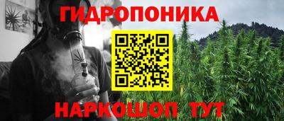 ПСИЛОЦИБИНОВЫЕ ГРИБЫ Баксан