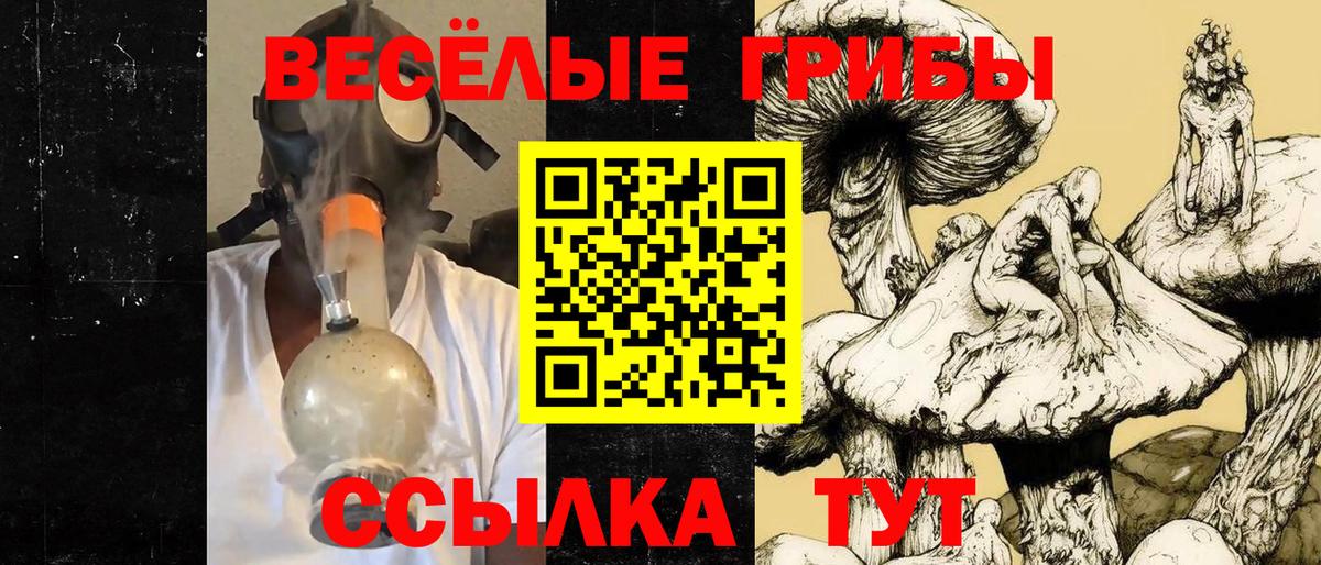 Галлюциногенные грибы прущие грибы  Вход с VPN  Арсеньев 